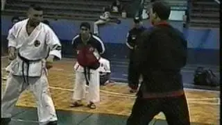 karate CHIEFEC - SIPALKI vs GOJU RYU chilenos destacados