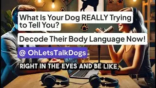 What Is Your Dog REALLY Trying to Tell You? Decode Their Body Language Now!