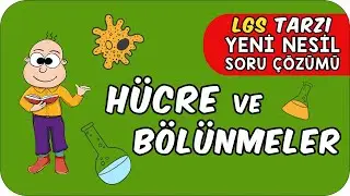 Hücre ve Bölünmeler LGS Tarzı Yeni Nesil Soru Çözümü ✍🏻