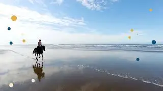 Wild Coast Horses endless beach canters