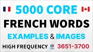 Learn 50 Essential French Words Daily | Master 5000 High-Frequency French Words Vocabulaire Fran&ccedil;ais