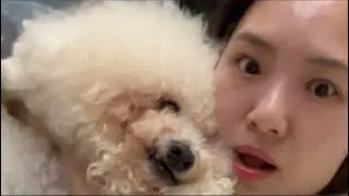 第二次緊急直播😱😱😱😱😱😱😱😱😱😱😱😱😱