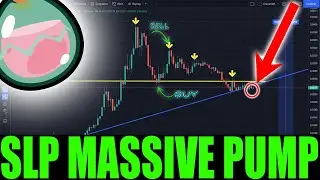 SLP HUGE BREAK OUT TODAY !! SMOOTH LOVE POTION PRICE UPDATE