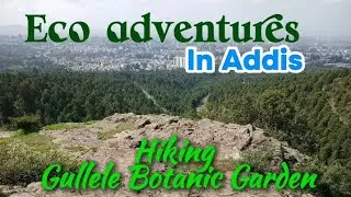 🌿 Exploring Gullele Botanic Garden | Hiking & Ecotourism Adventure in Addis Ababa!