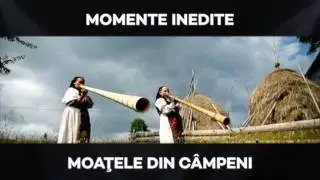 Romanian Fusion Music & Dance