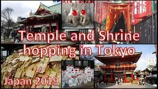Temple and Shrine Hopping in Tokyo #1 [2019/03 Japan Vlog]