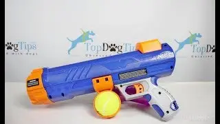 Nerf Dog Tennis Ball Blaster Review