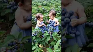 So cute baby eating blueberry🫐🫐 #cute #baby #babyeating #babyshorts