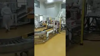 Automatic carton packaging solution. #packaging #carton #palletizing