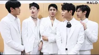헤일로(HALO) #일본공연 비하인드