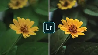 Lightroom CC Mobile : Tutorial | Make your INSTAGRAM photo look AMAZING (EASY & FAST)#1