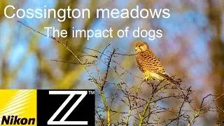 Cossington Meadows