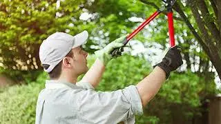 J&J Custom Tree Service