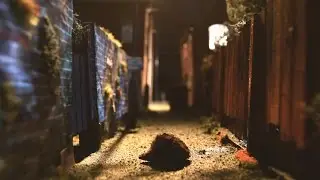 Hedgehog Close