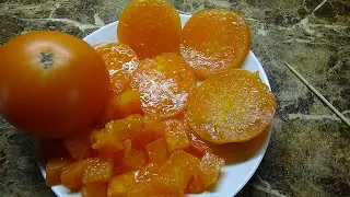 New tomato varieties for 2023. Tomato Orange Monster Fleshhead - solid orange flesh without seeds!