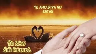 Te amo sin medida (Prod.Gallember)