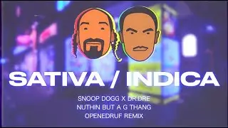 ＳＡＴＩＶＡ　/　ＩＮＤＩＣＡ　(snoop dogg x dr dre - nuthin but a g thang openedruf remix)