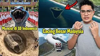 PENAMPAKAN CACING BESAR ALASKA TERSERAM