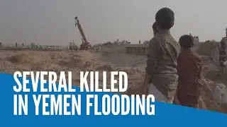 Several killed in Yemen flooding