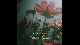 She's Gone (Audio Only)