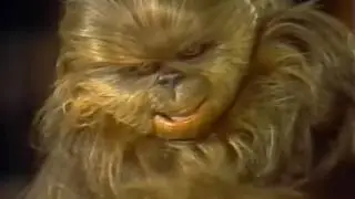 Star Wars Holiday Special - 1978
