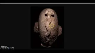 10,000+ Year Old Nevalı &Ccedil;ori