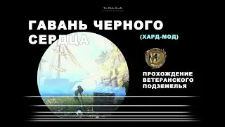 Гавань Черного Сердца прохождение ветеранского подземелья усложненный режим BlackHeart Haven vet hm