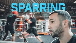 Die HEISSE Phase der VORBEREITUNG - Sparringsphase meiner Boxer! | Mo Weber