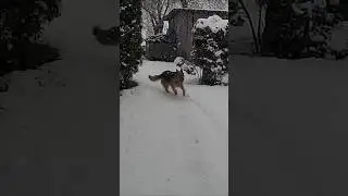 Running back and forth