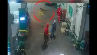 Valiente perro es baleado al enfrentar a delincuentes en asalto a grifo