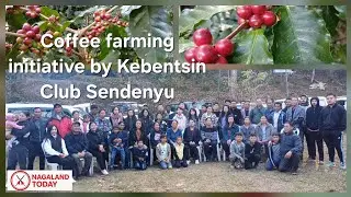 Sendenyu Coffee Farm Marks 10-Year Journey Under KAAS