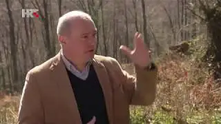 Tragovi oluje Teodor - Pošumljavanje Medvednica Eko zona HTV