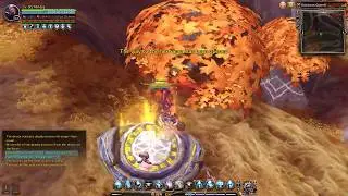 Dragon Nest lv95 Destroyer solo Grievous Guardian Nest HardCore