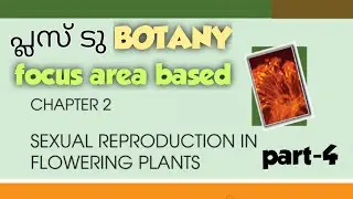 Plus two botany focus area based chapter-2 Sexual reproduction in flowering plants|part-4