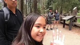 Sequoia Vlog (Tips, Trails, +more)