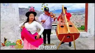 Jarana Arpa y Violin Con DULCE MIEL -  Jhoncito de Vinchos & Volcán RebeldeDe Ccaccamarca🎶🎻