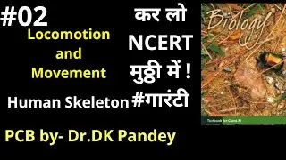 #02. Locomotion and Movement NCERT Class 11 in Hindi | Human Skeleton System