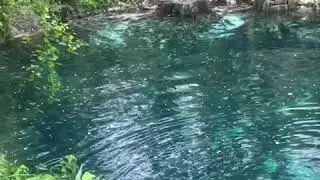 Swimming-hole Spring