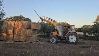 Colocamos los paquetes de paja y os contamos que será lo próximo que haremos