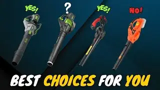 5 Best Cordless Leaf Blowers in 2024