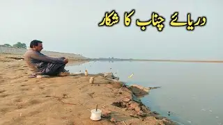 Fishing at Siapr number 3| River Chanab Fishing| fishing videos| carp fishing #fishing #fish