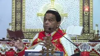 Homily on St. Stephen by Fr. Abraham Mutholath in Houston on December 28, 2025.