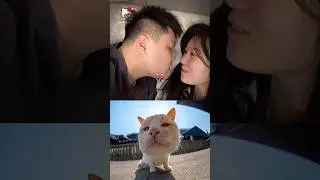 FUNNY KISS MOMENTS 🤣 #shorts #viral #trending