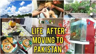 Daily Routine in Pakistan | Portugal Se Wapas Aane Ke Baad Ki Zindagi Vlog 
