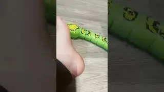 !THIS IS A ROBOT! I WOULD NEVER DO THIS TO A REAL SNAKE!