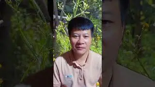 Kev Waac - อิ้วเมีนย - Mien Story - ອິວມຽນ #iumientv #iumienh #iumien