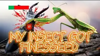The insect tier list TierZoo Reaction |Thatguyistoxic