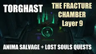 Torghast : The Fracture Chambers Layer 9 : Anima Salvage + Lost Souls quests.