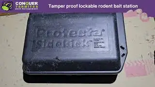 Rodent Control Brisbane & Gold Coast | Safe, Effective Winter Protection