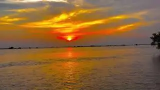Golden Nature Calm 🌿 | Pure Peace Moments